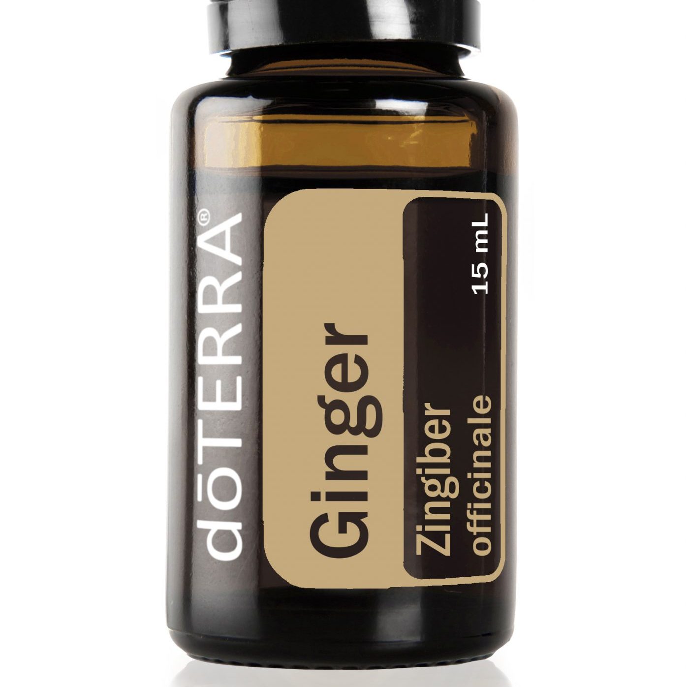 ginger-15ml For the corporate use of doTERRA International LLC. File distrobution and third party use/sales are restricted.